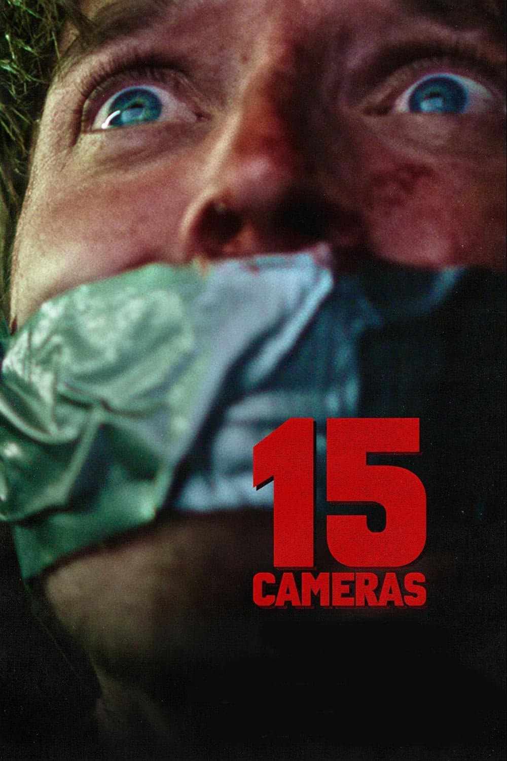 15 Cameras photo