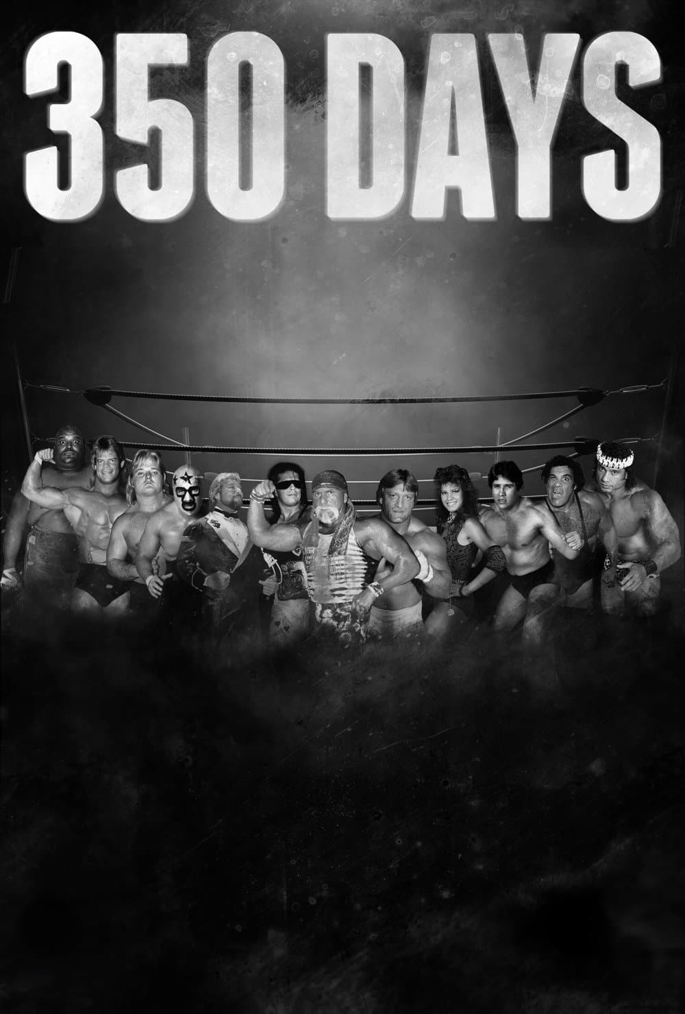 350 Days photo