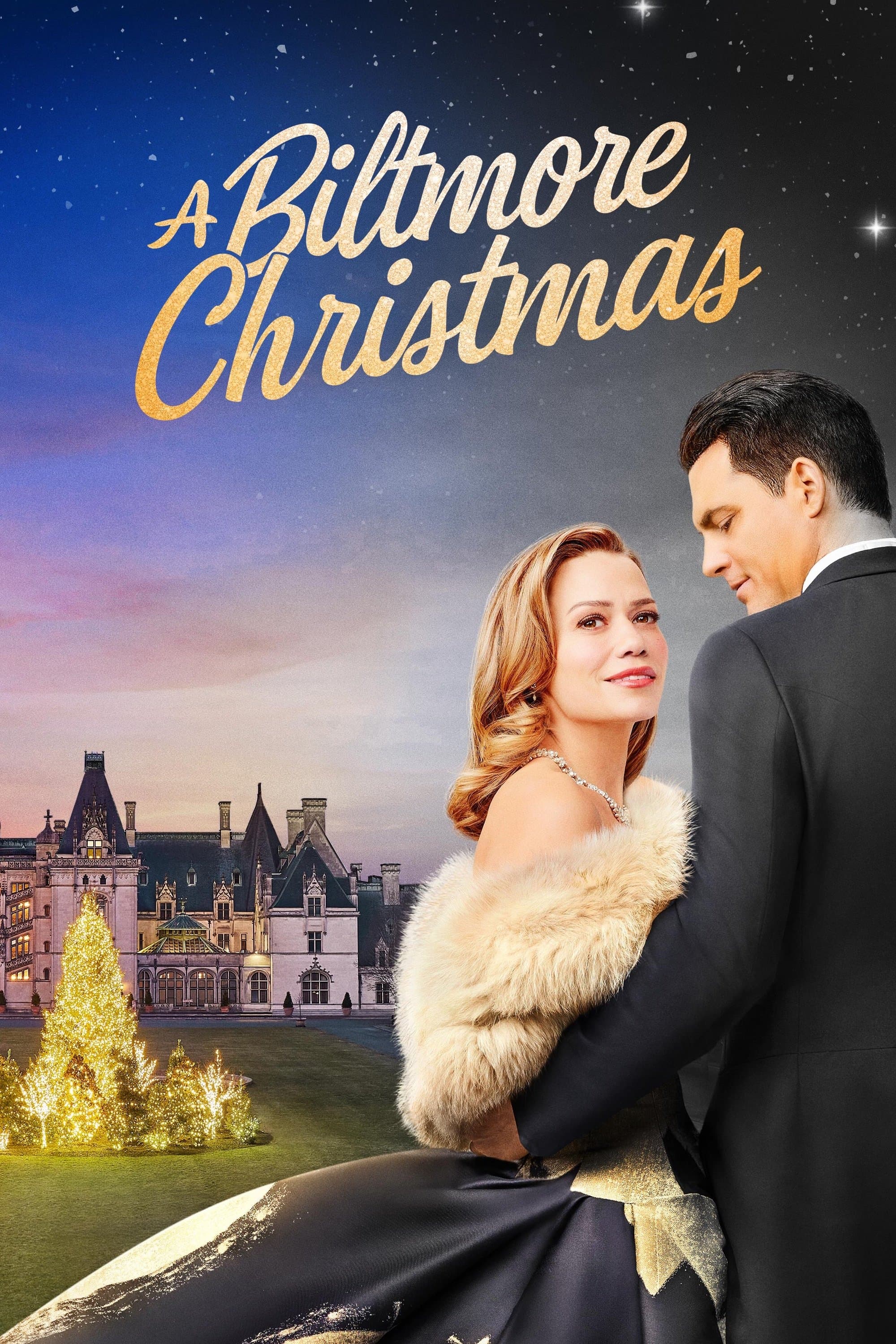 A Biltmore Christmas photo