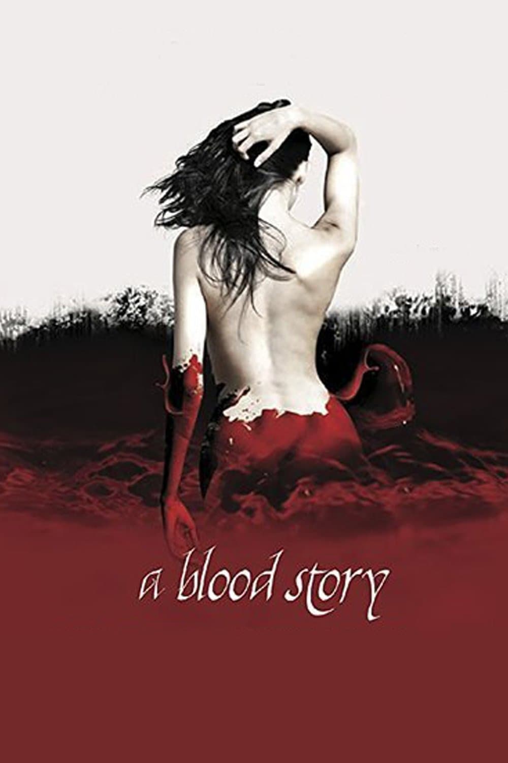 A Blood Story photo