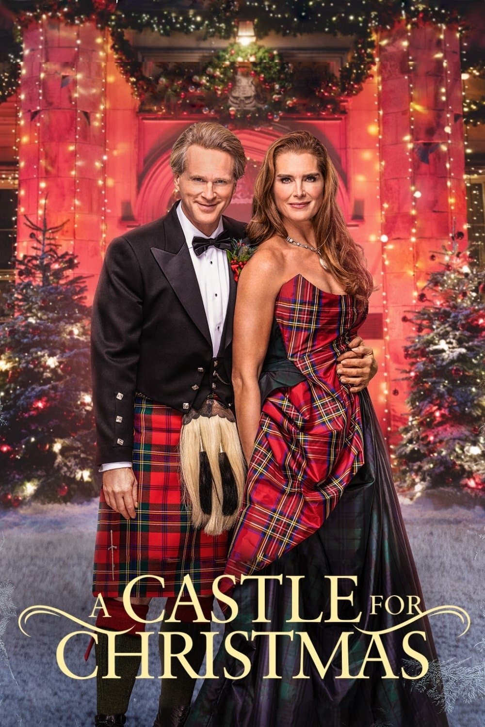 A Castle for Christmas photo