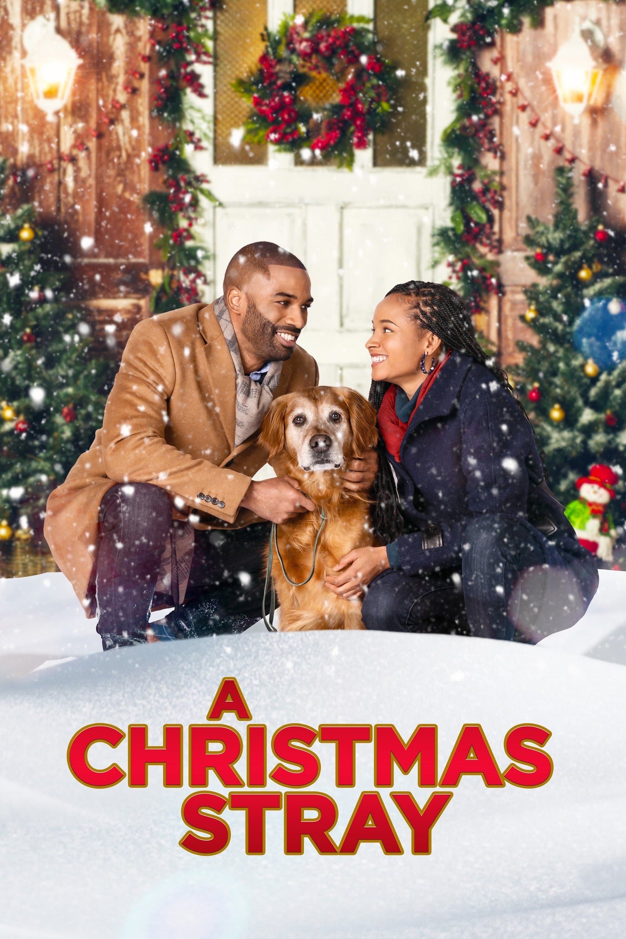 A Christmas Stray photo
