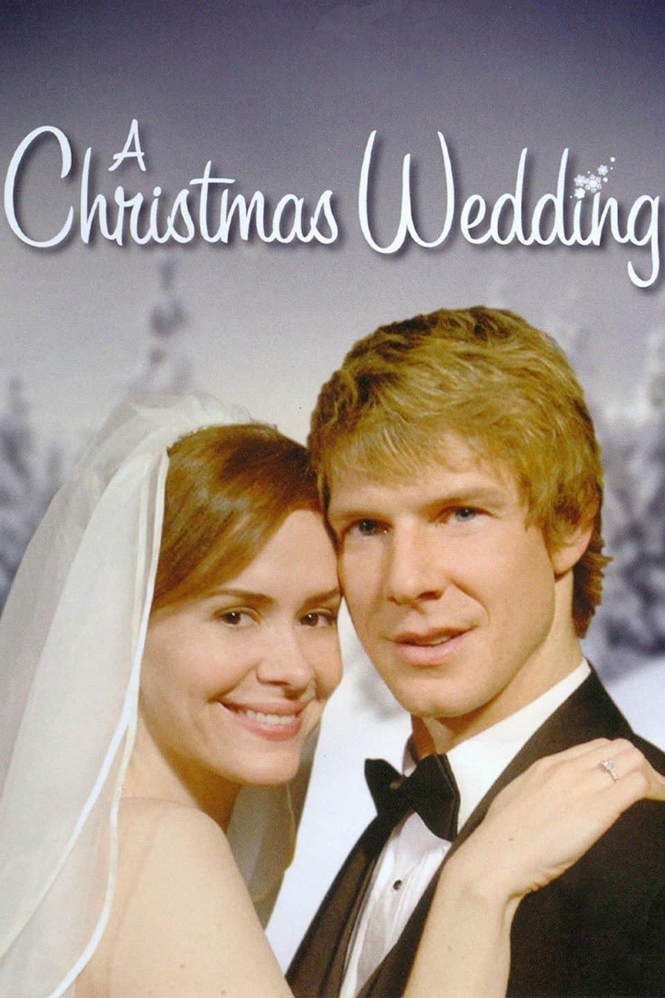 A Christmas Wedding photo