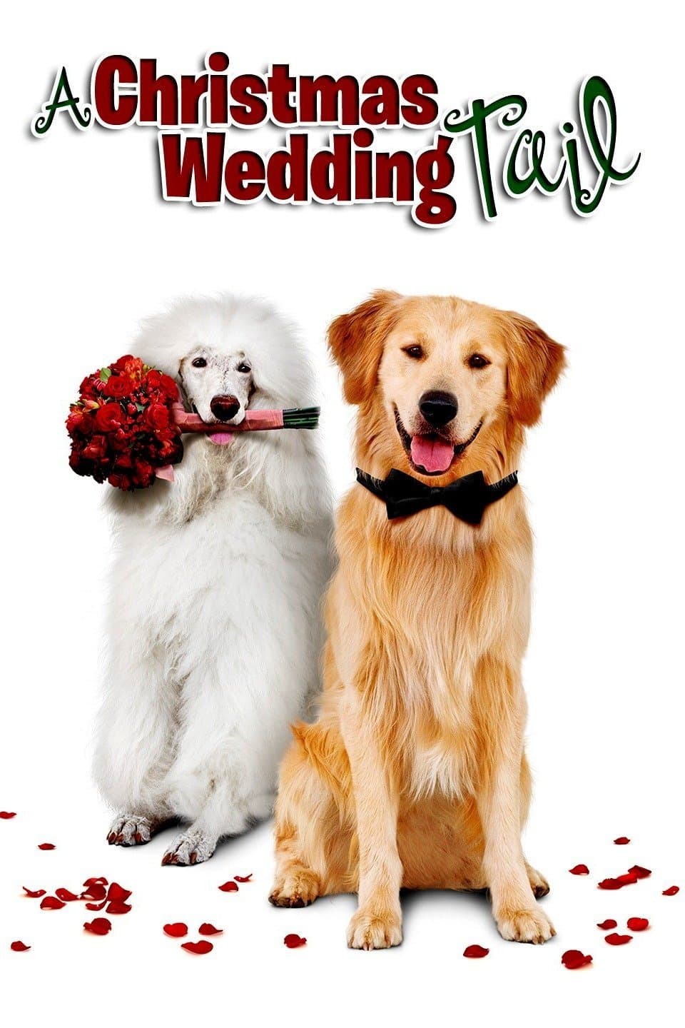 A Christmas Wedding Tail photo