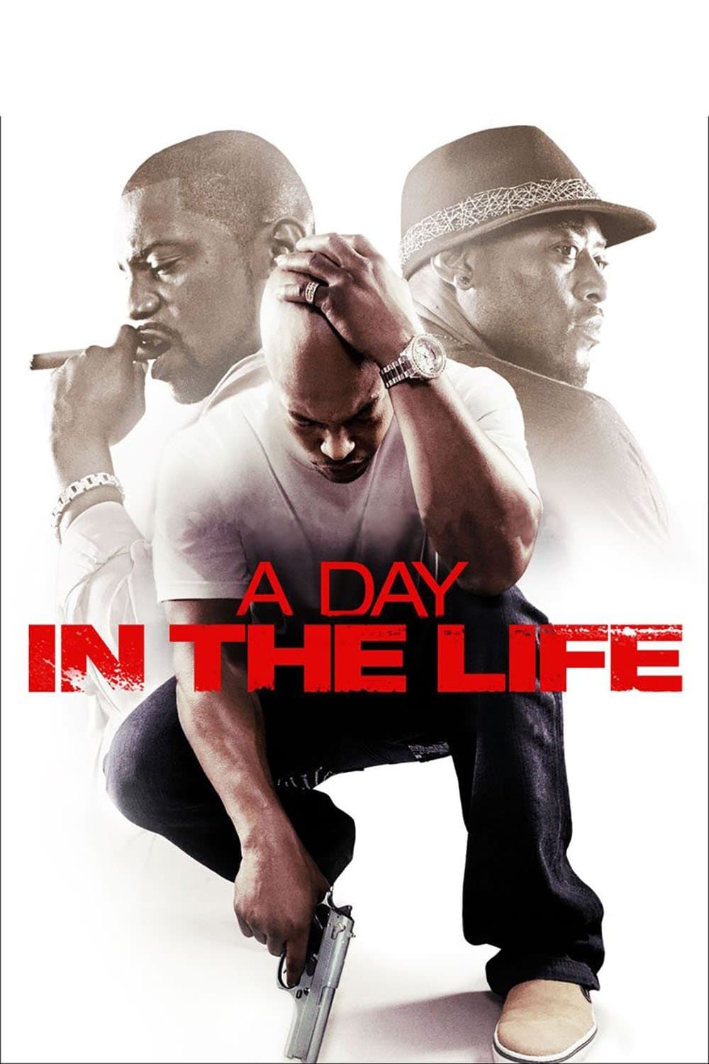 A Day in the Life photo