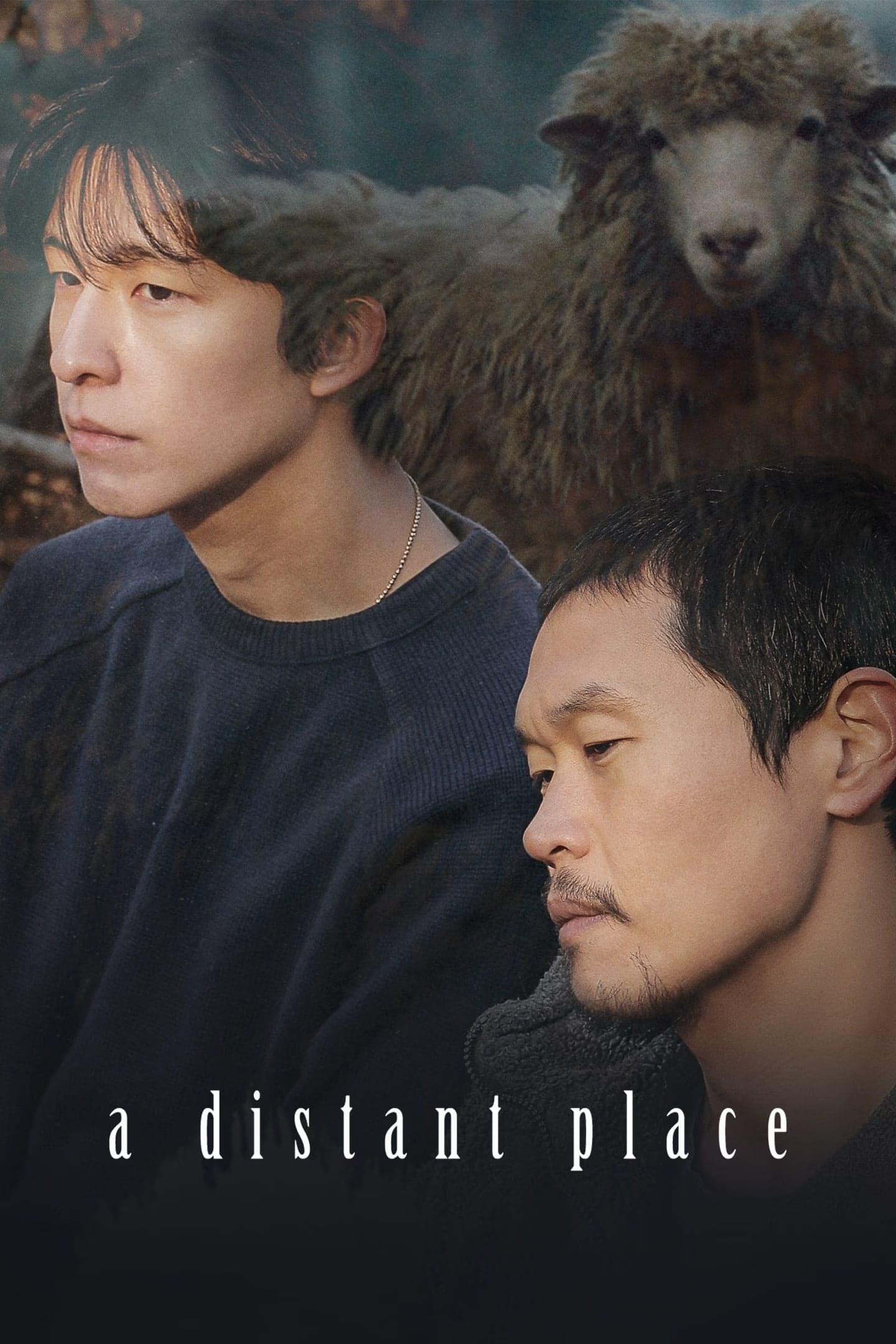 A Distant Place photo