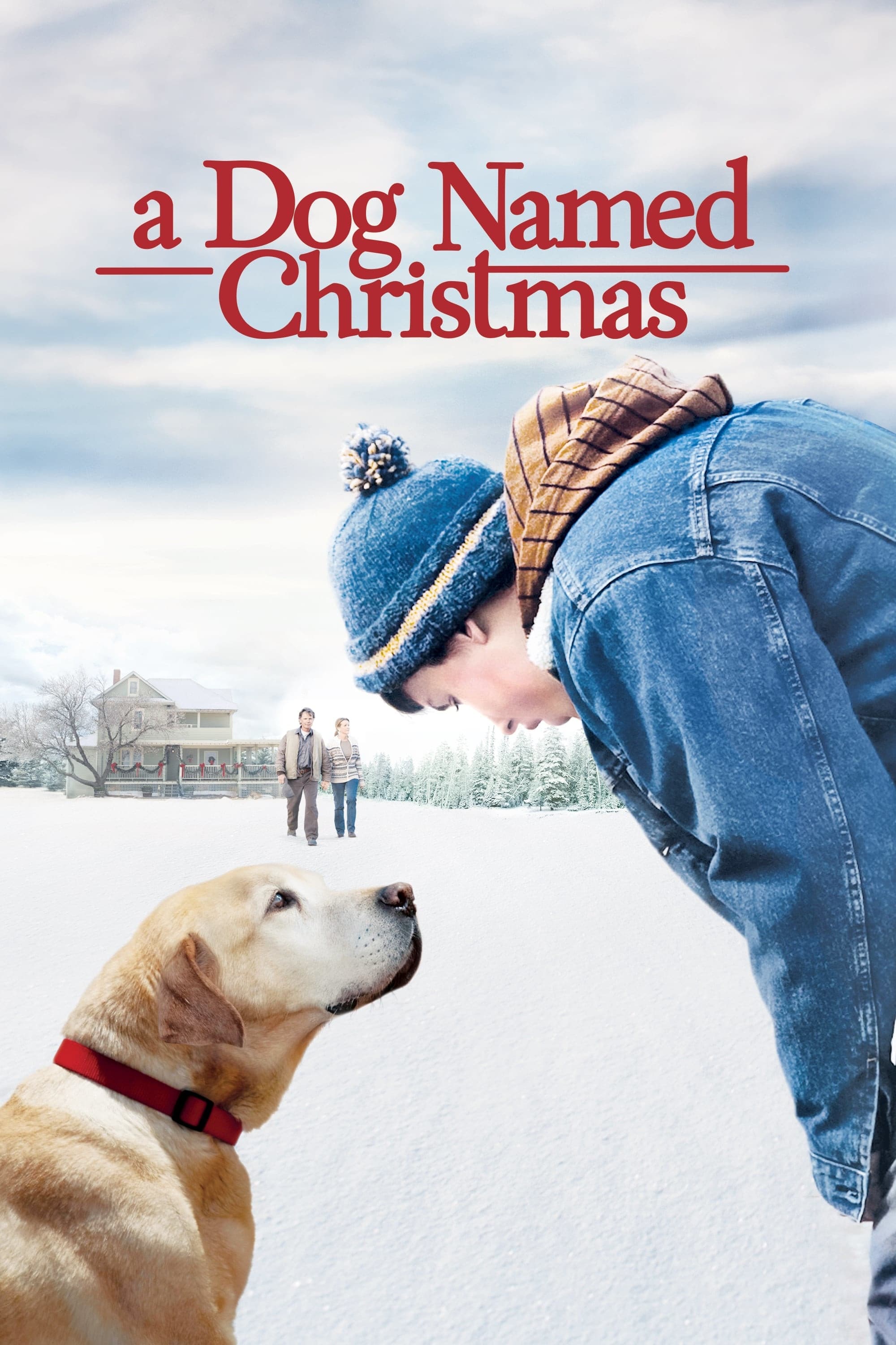 A Dog Named Christmas photo