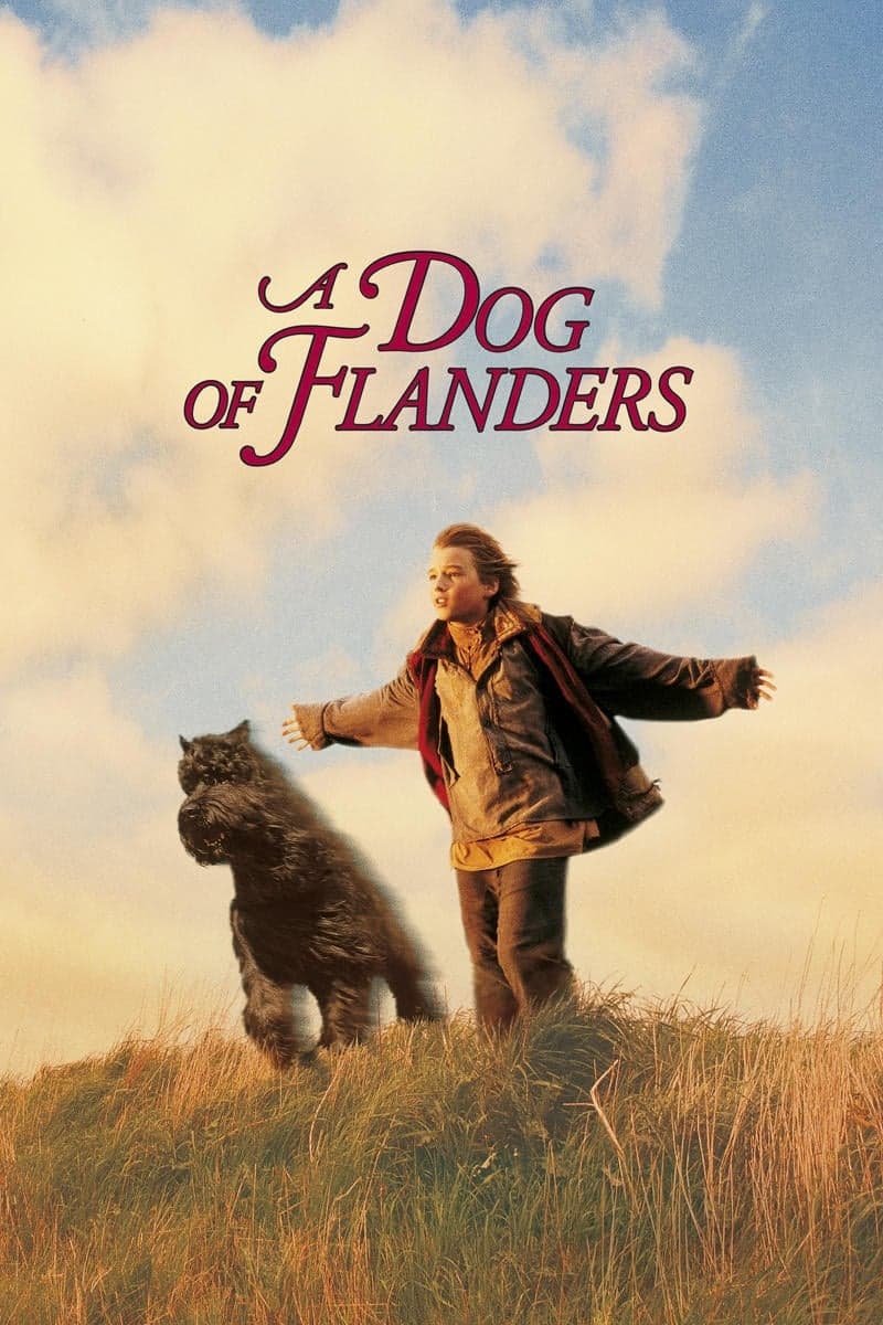 A Dog of Flanders photo