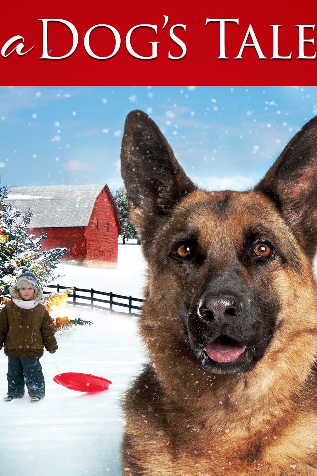 A Dog's Tale photo