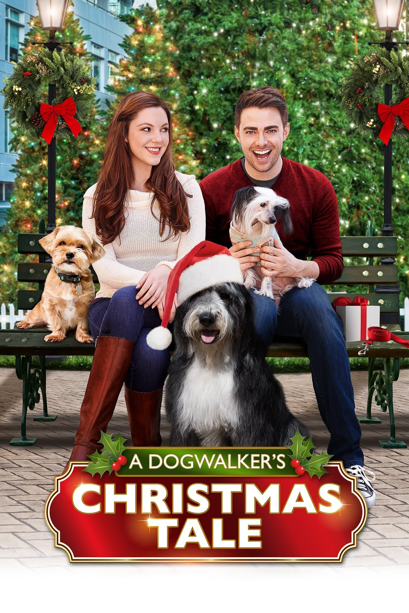 A Dogwalker's Christmas Tale photo
