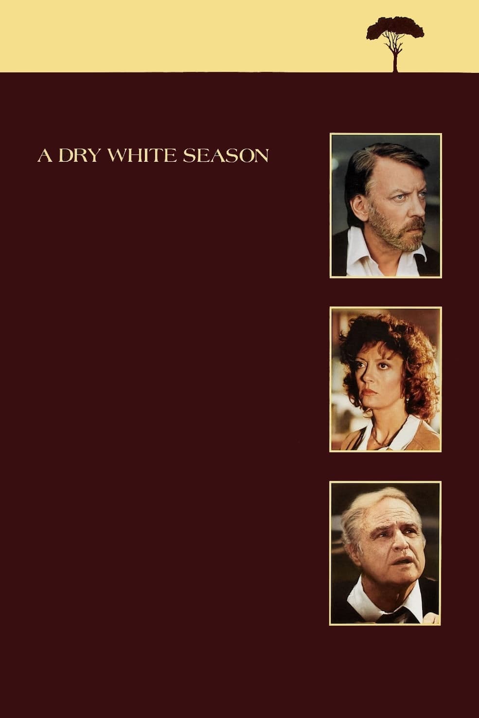 A Dry White Season photo