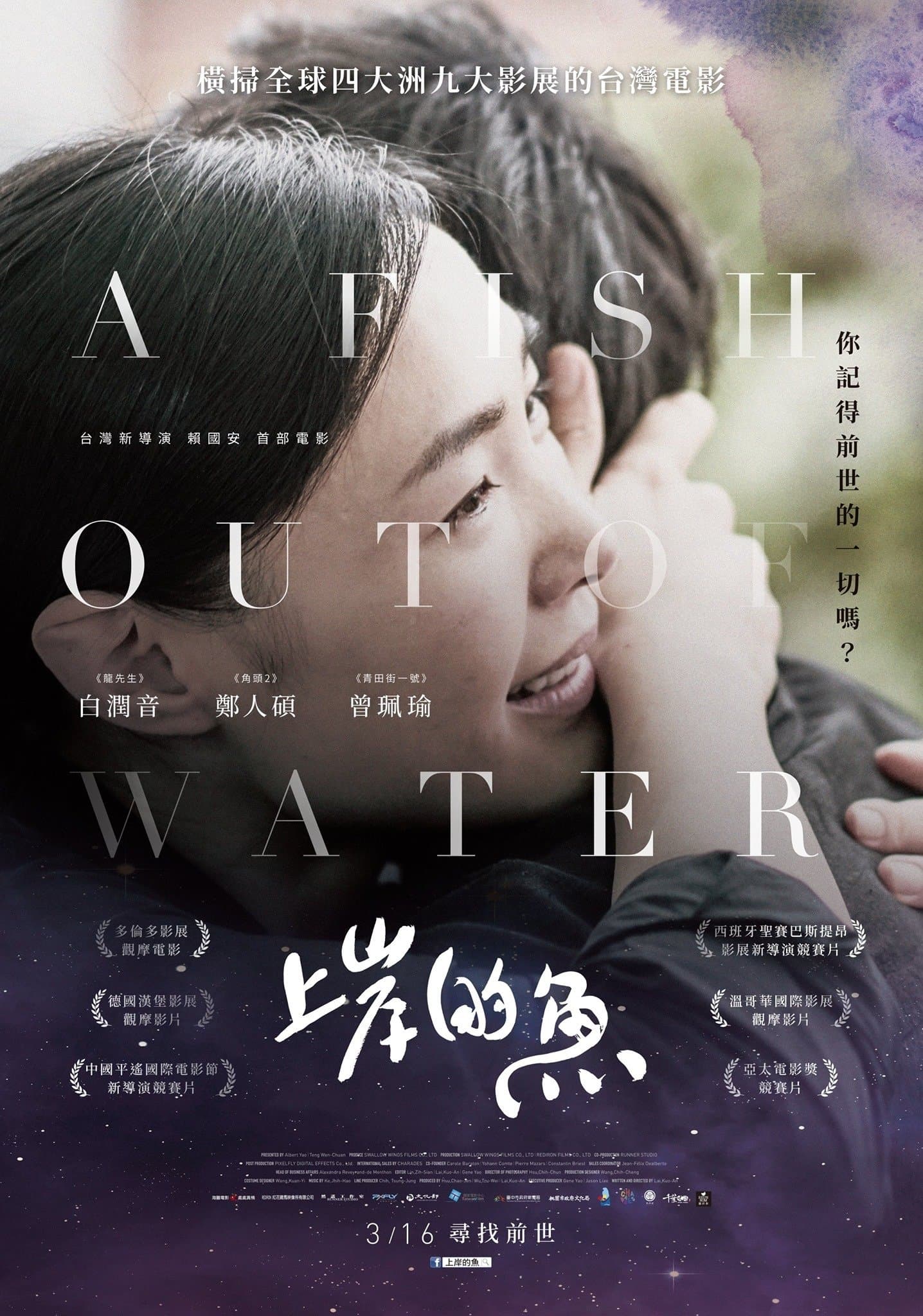 A Fish Out of Water photo