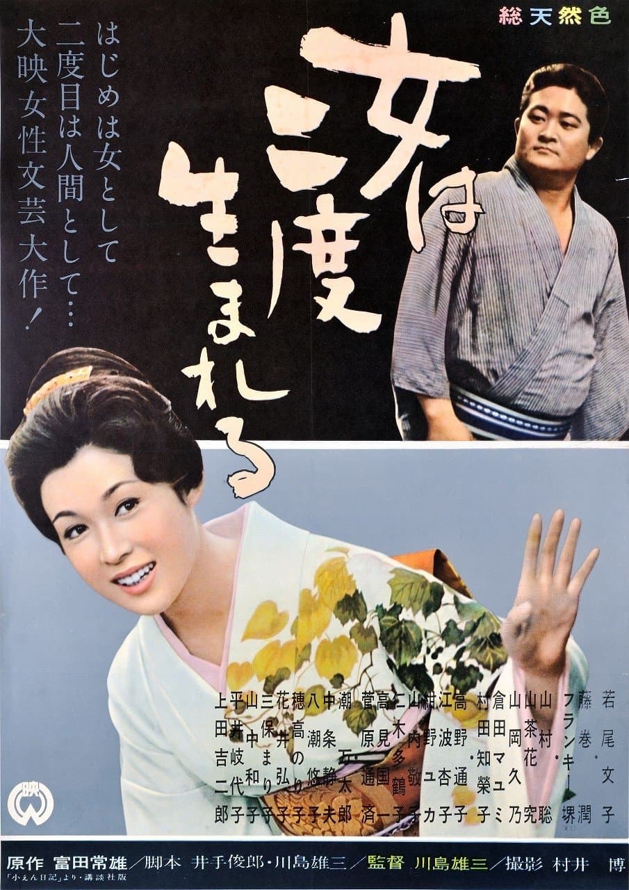 A Geisha's Diary photo