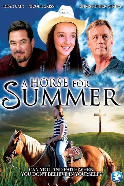 A Horse for Summer photo