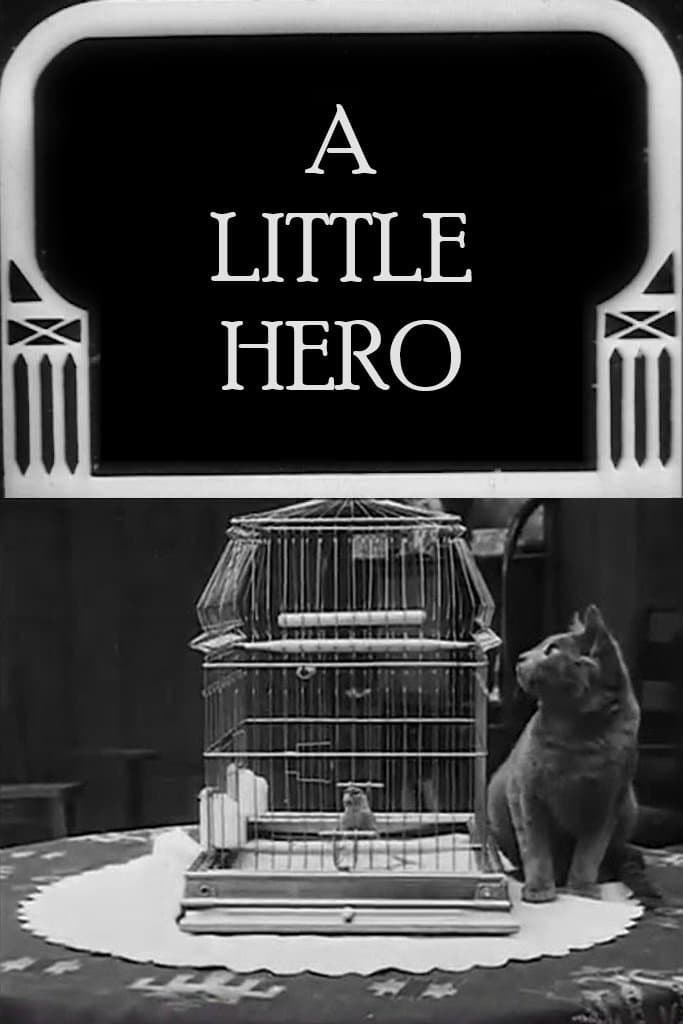 A Little Hero photo