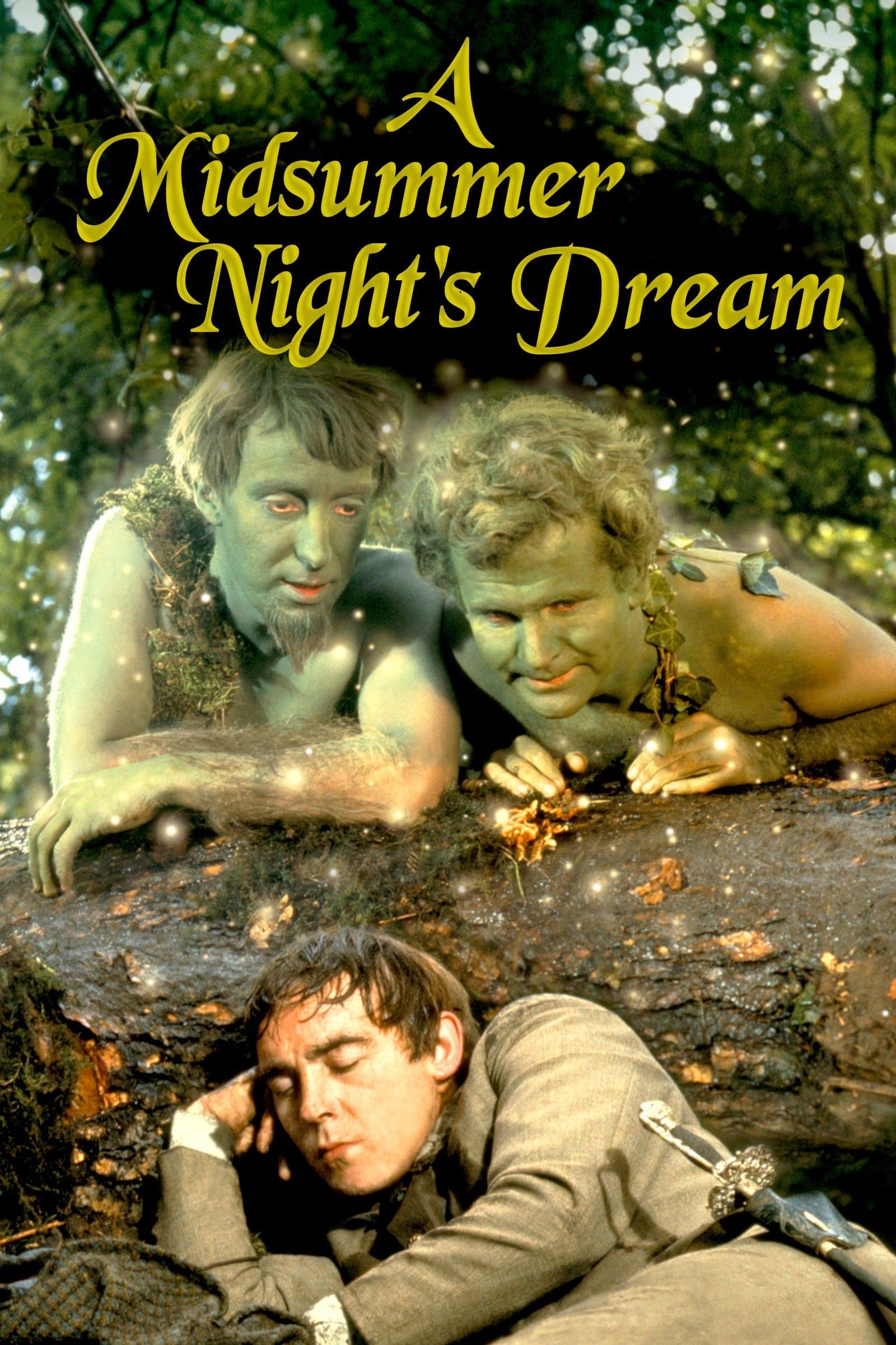 A Midsummer Night's Dream photo