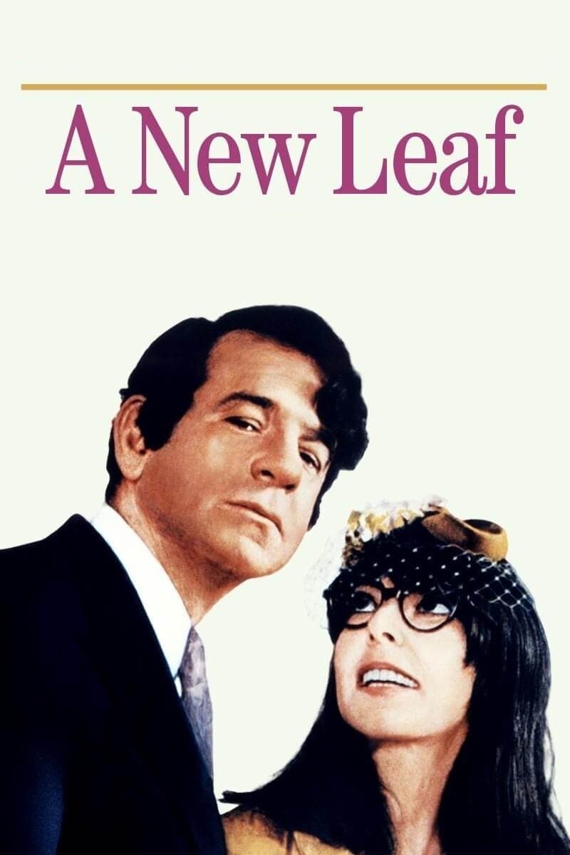 A New Leaf photo