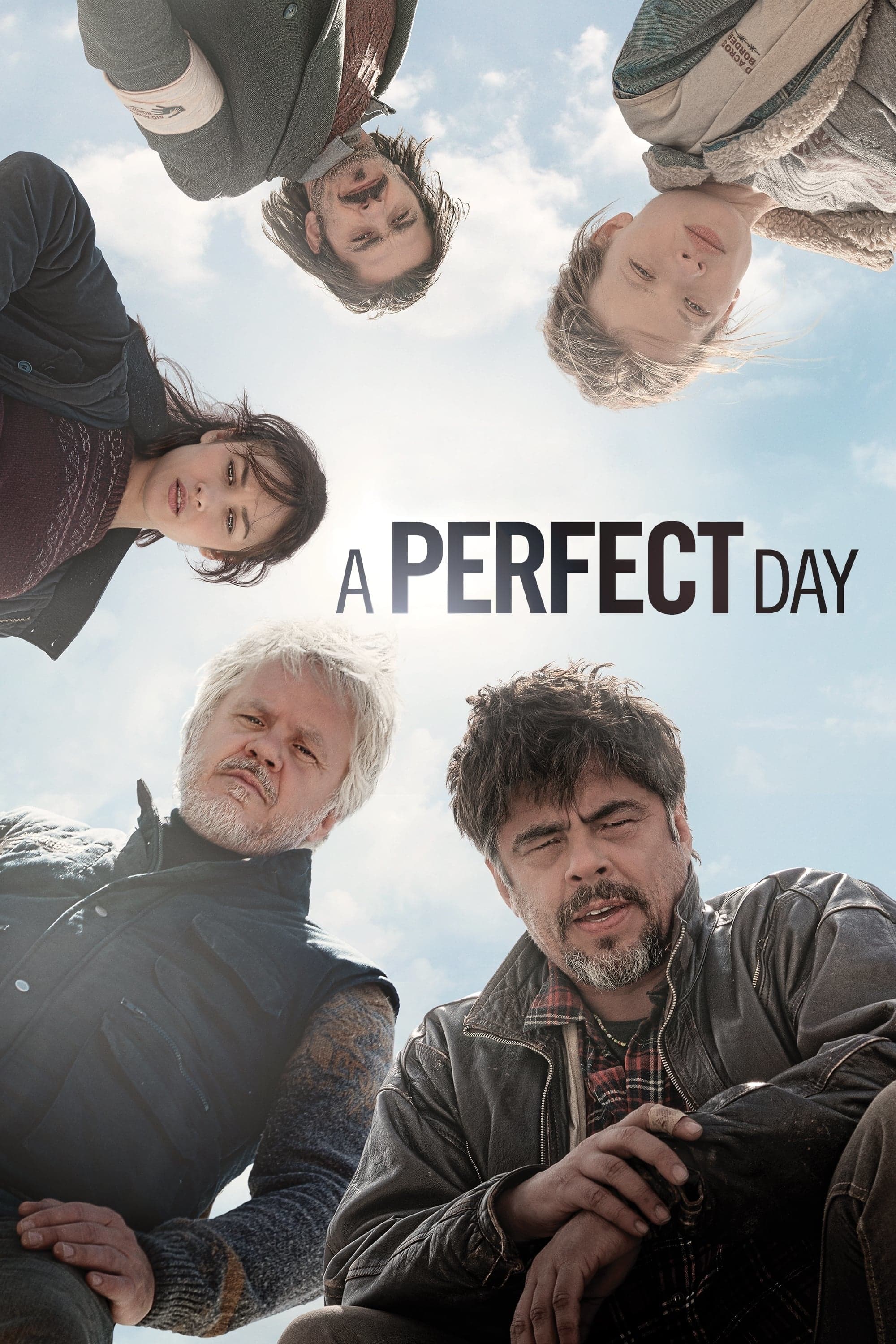 A Perfect Day photo