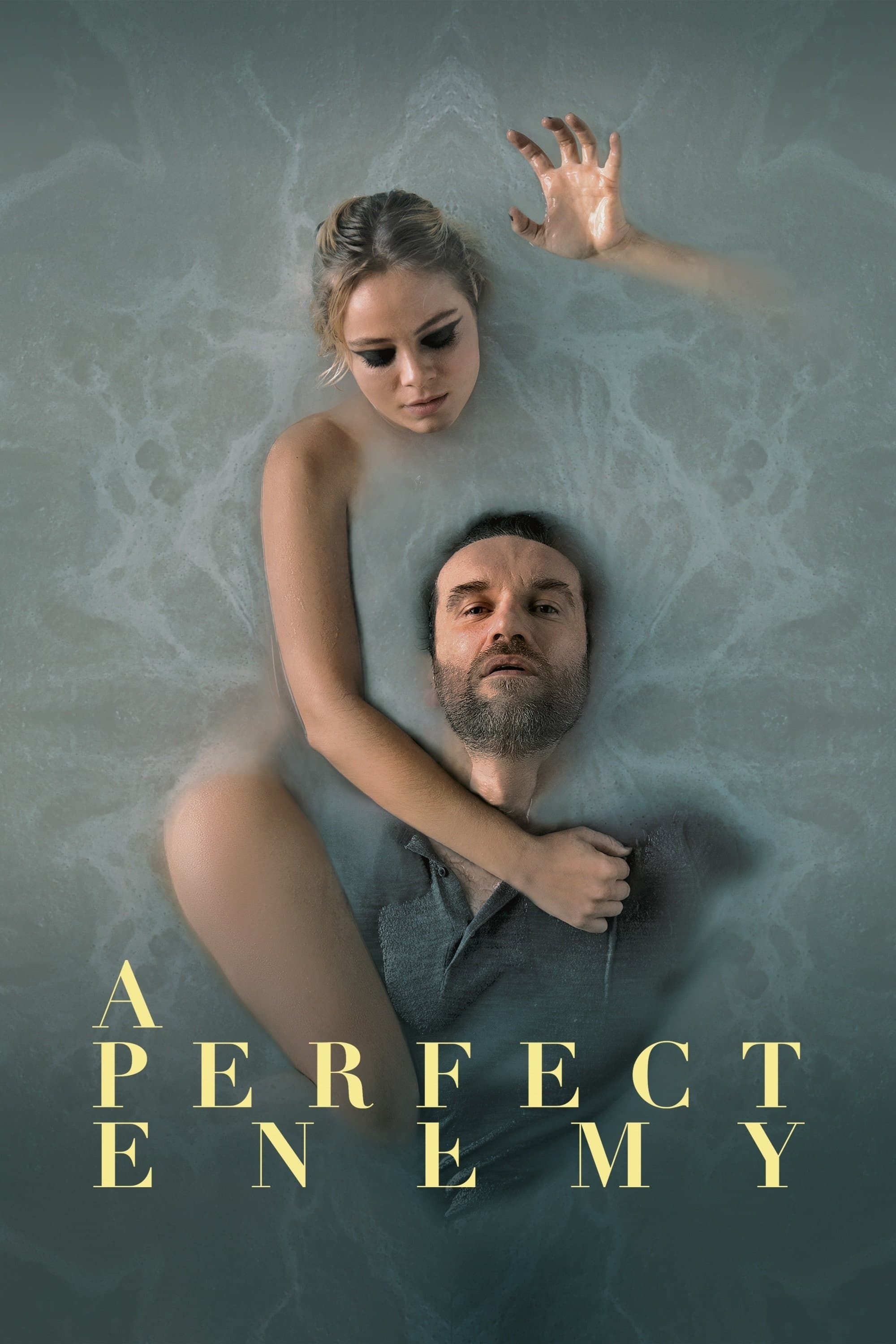 A Perfect Enemy photo