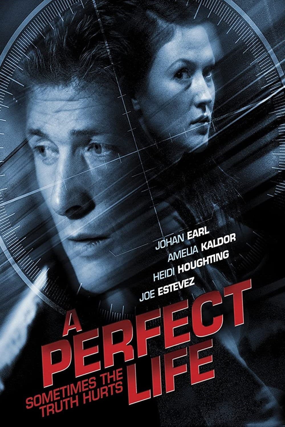 A Perfect Life photo
