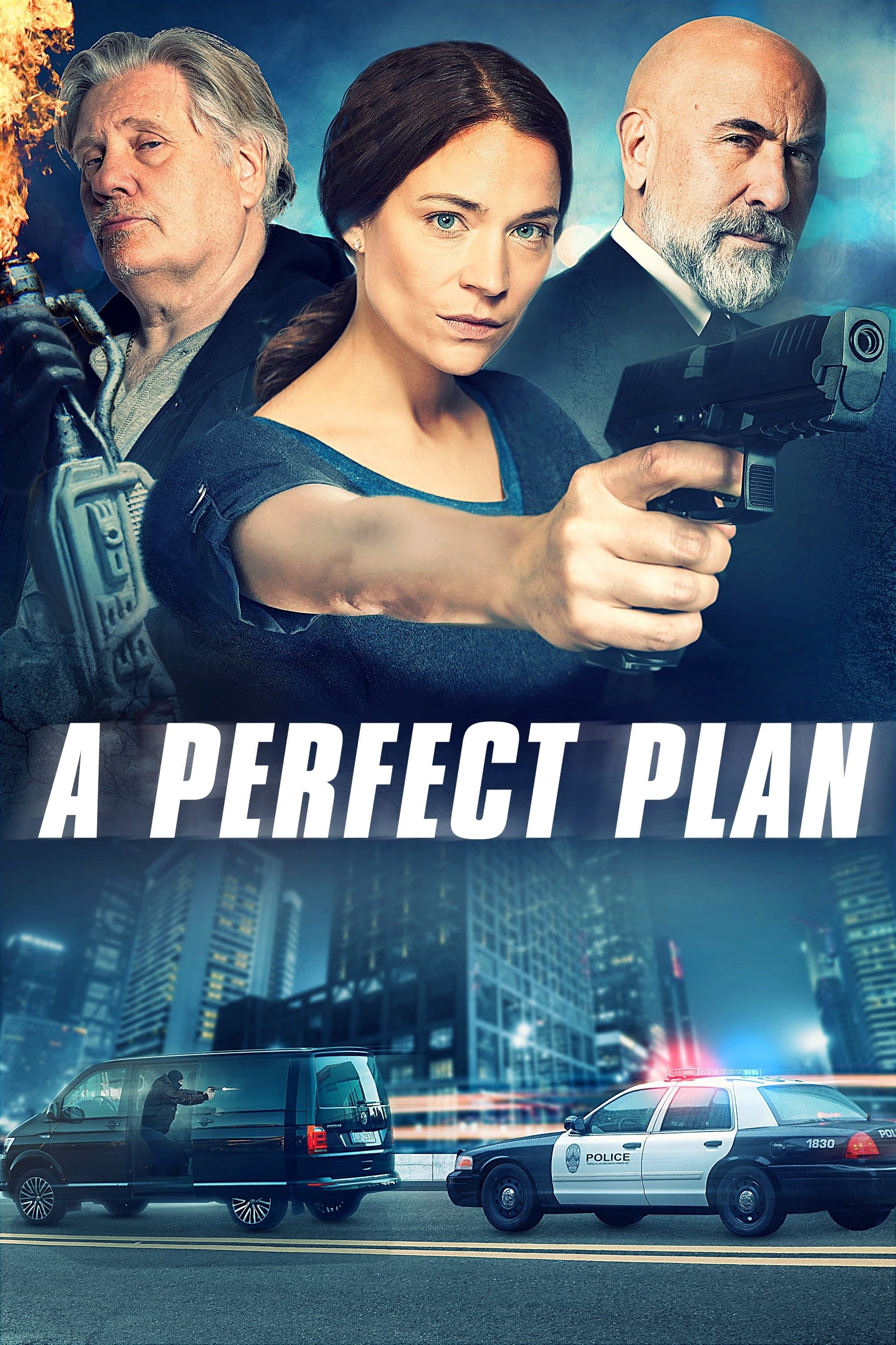 A Perfect Plan photo
