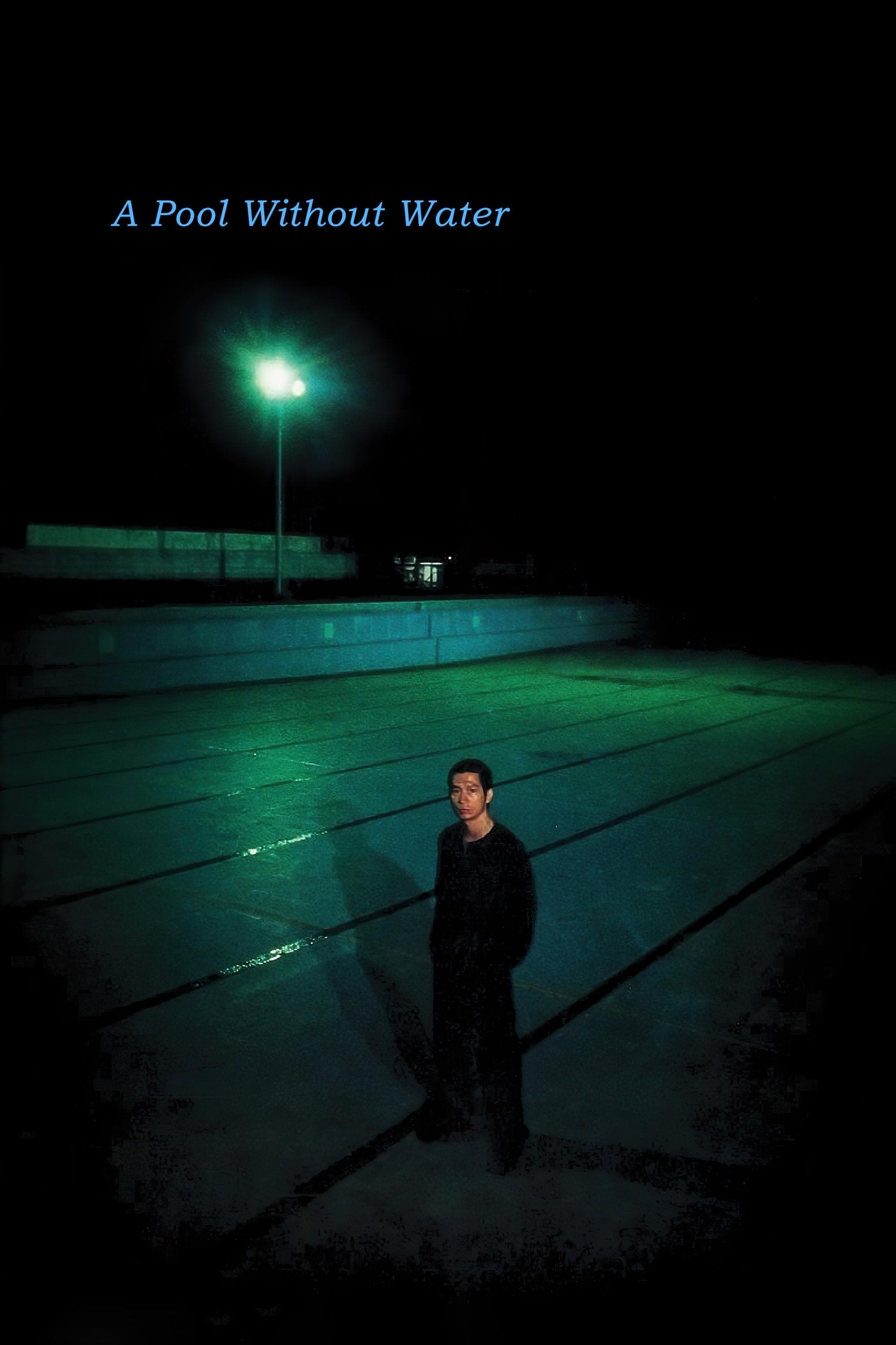 A Pool Without Water photo