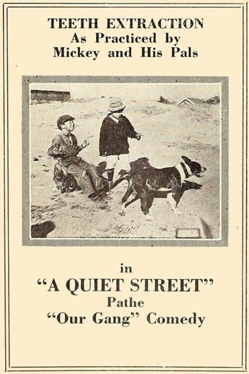 A Quiet Street photo