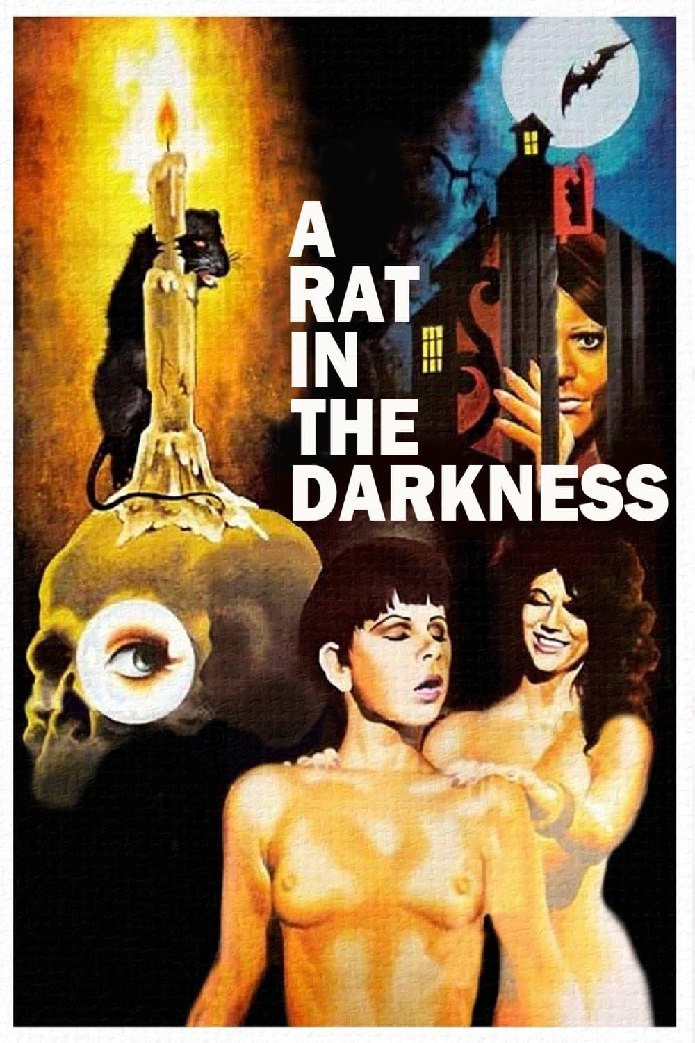 A Rat in the Darkness photo