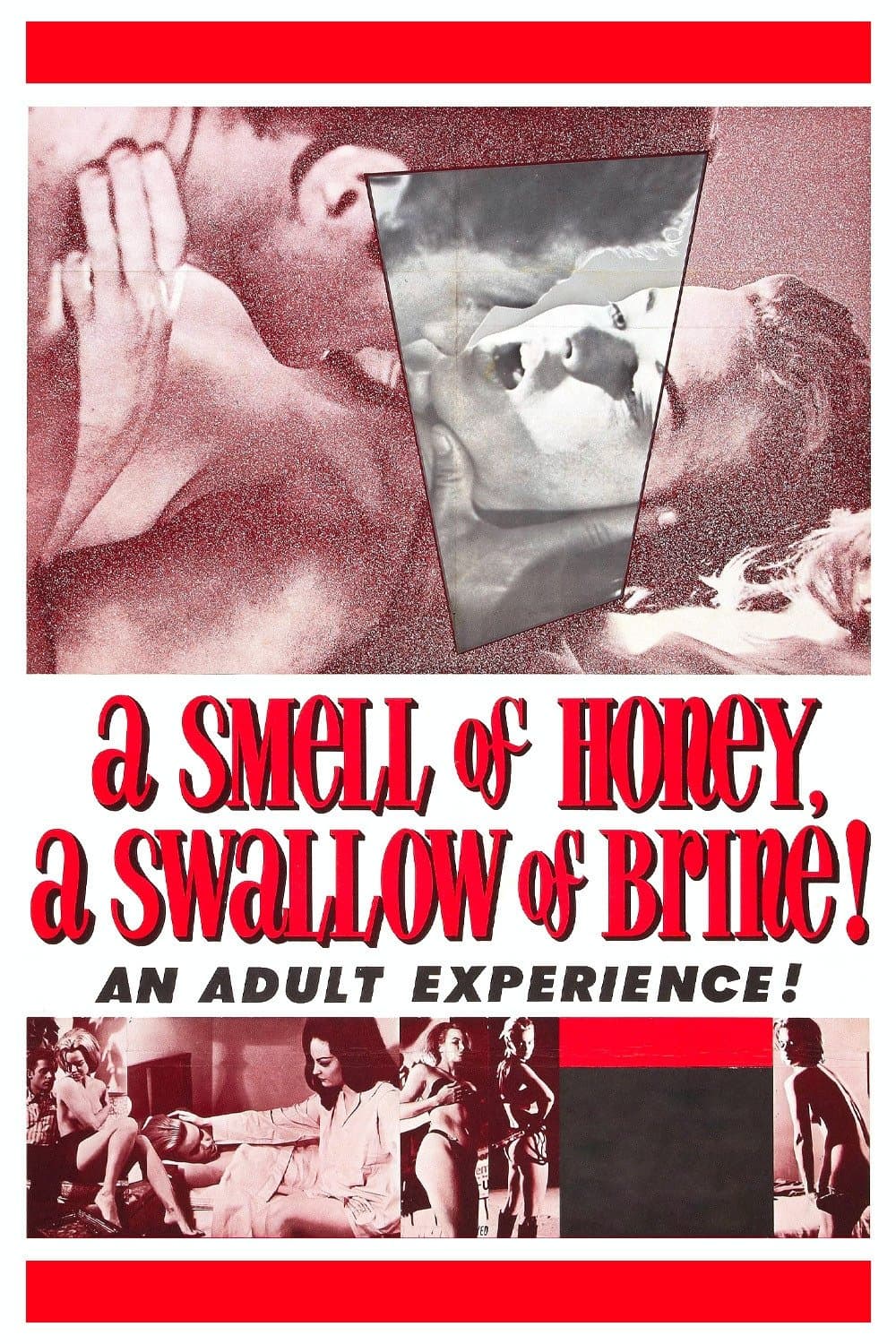 A Smell of Honey, a Swallow of Brine photo