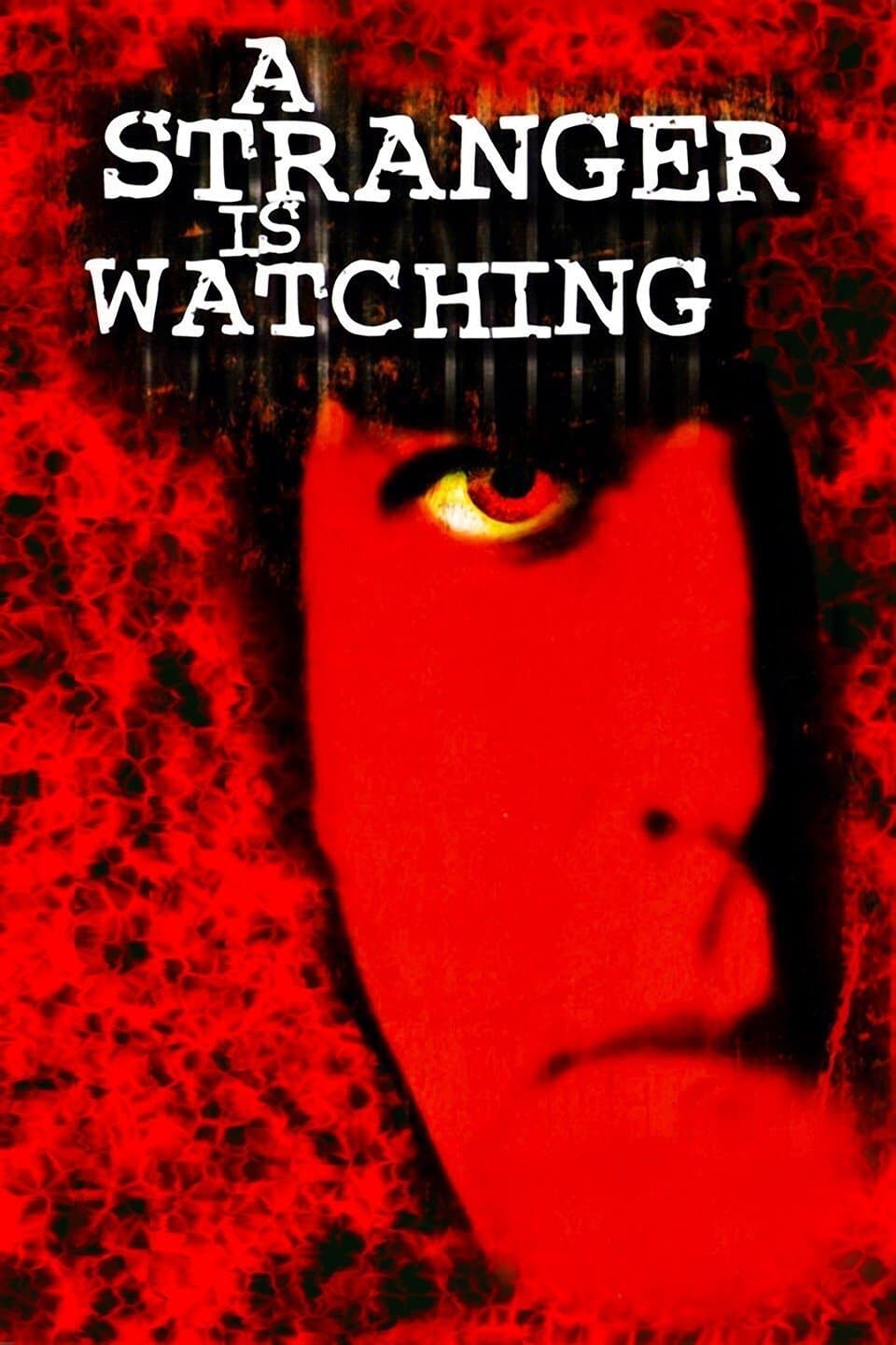 A Stranger Is Watching photo