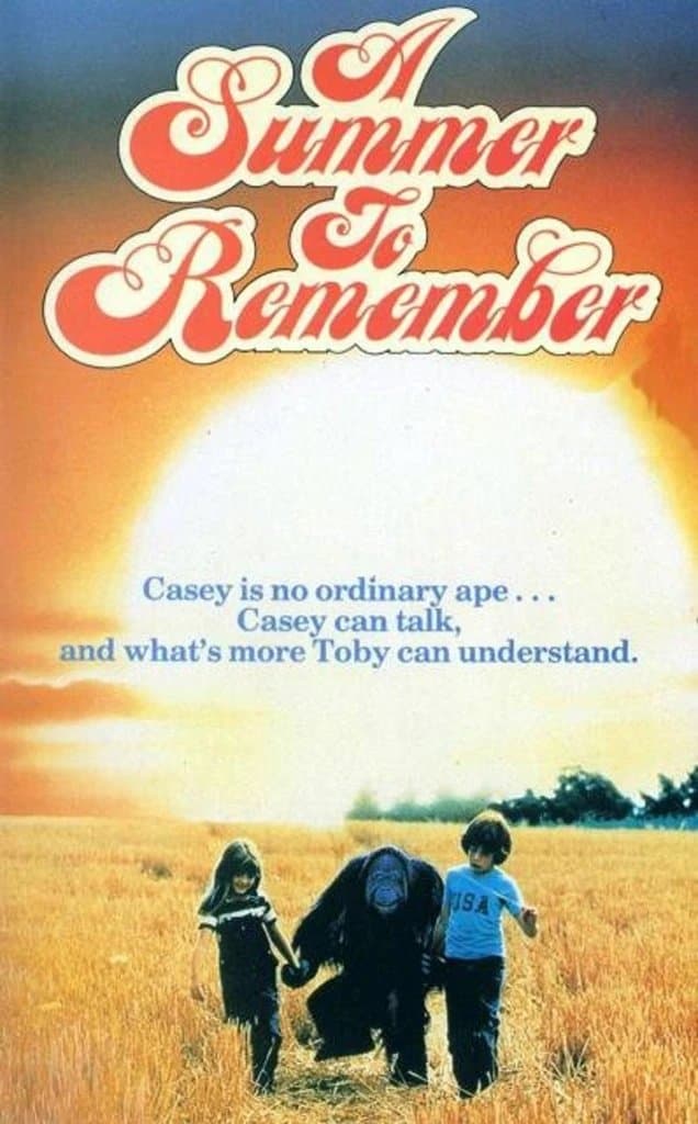 A Summer to Remember photo