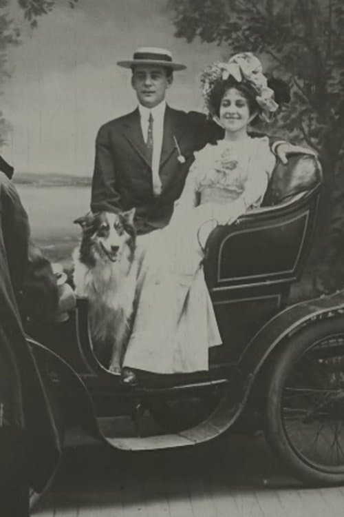 A Tin-Type Romance photo