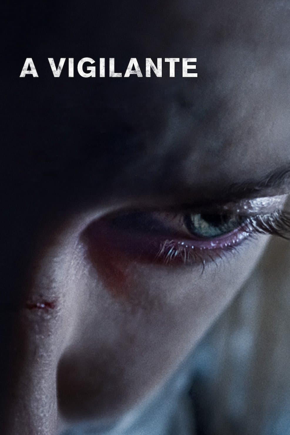 A Vigilante photo