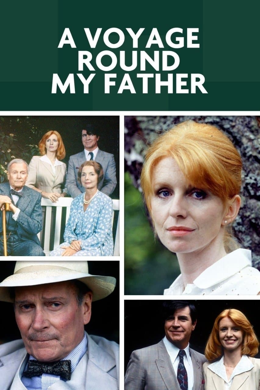 A Voyage Round My Father photo