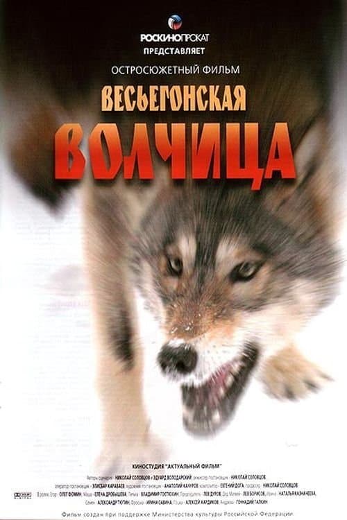 A Wolf from Vesyegonsk photo