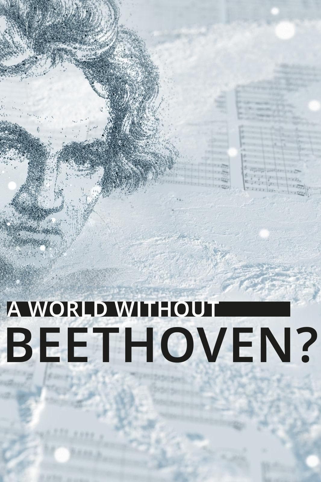 A World Without Beethoven? photo