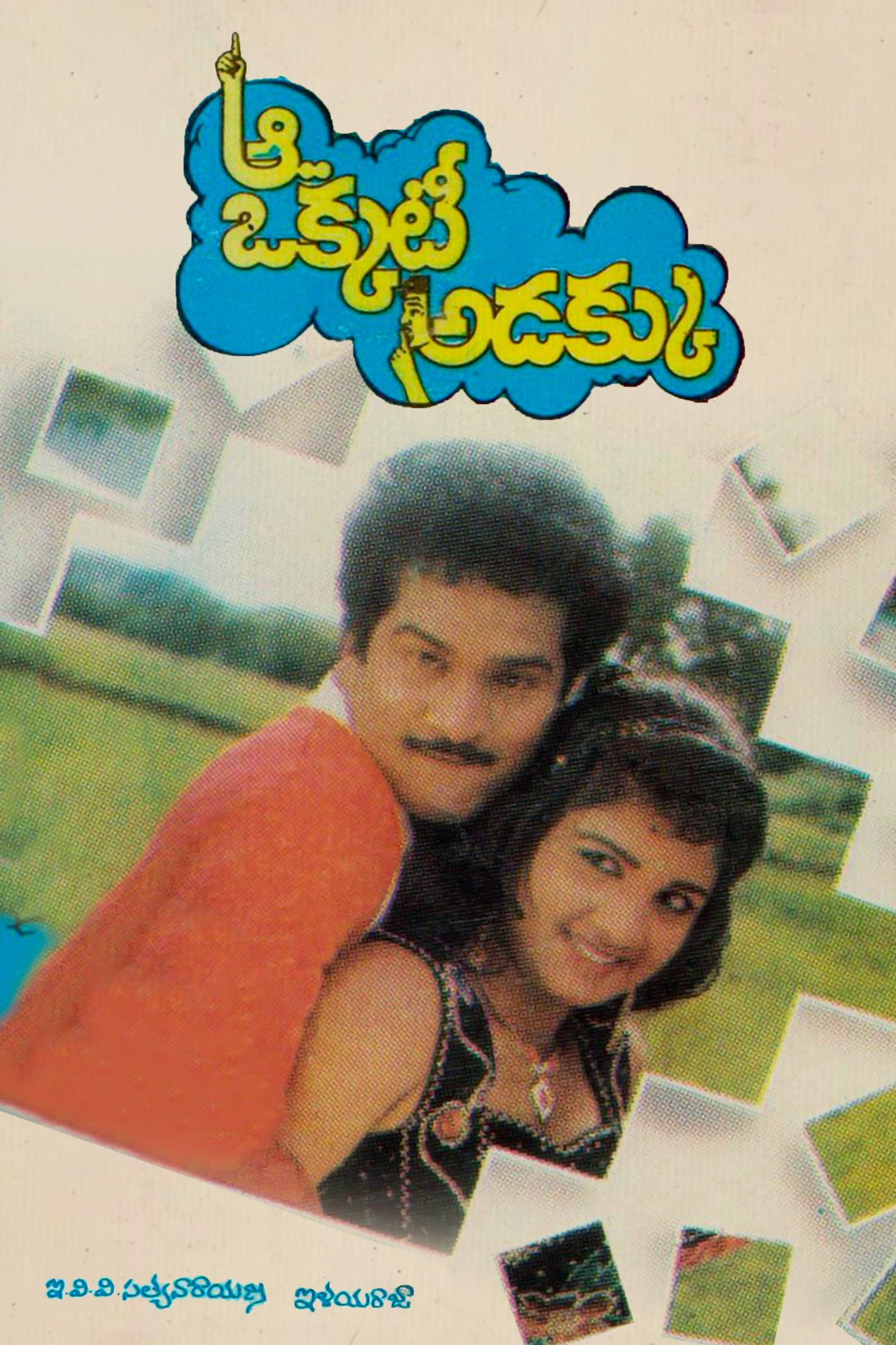 Aa Okkati Adakku photo