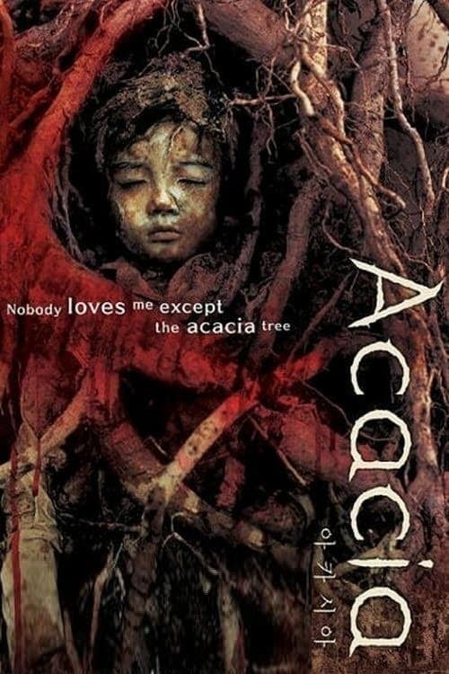 Acacia photo
