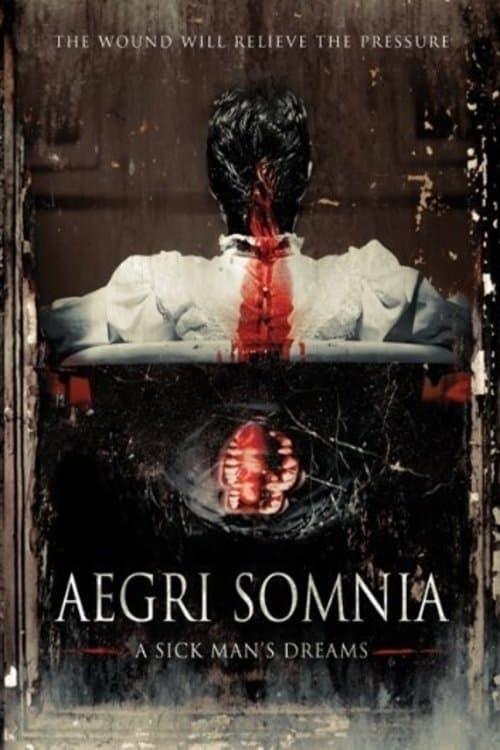 Aegri Somnia photo