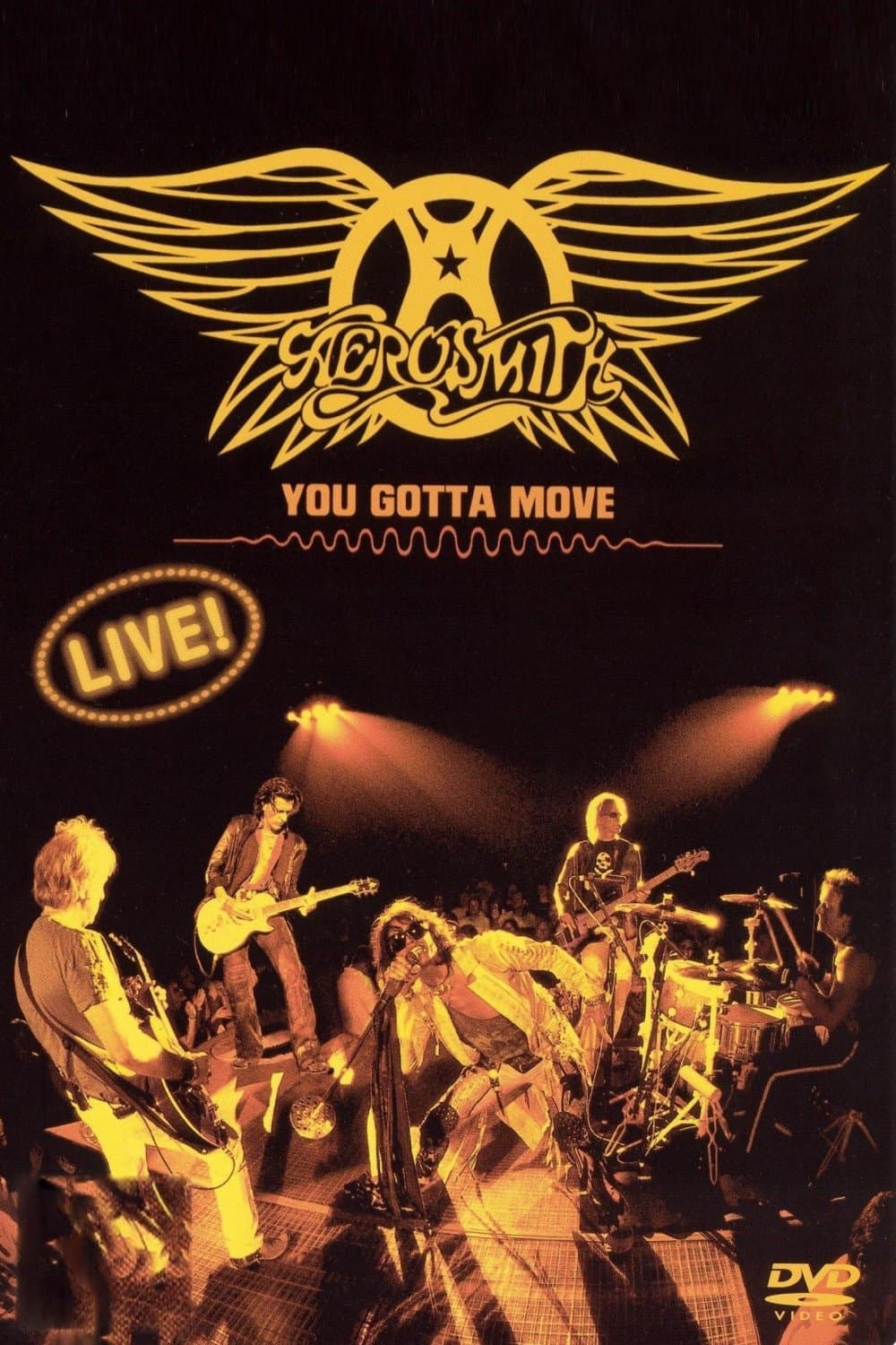Aerosmith - You Gotta Move photo