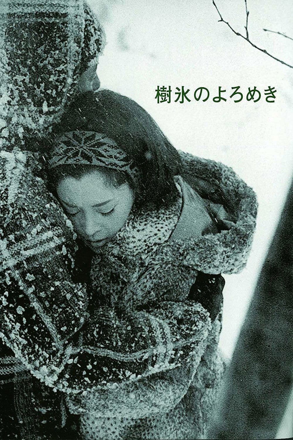 Affair in the Snow photo