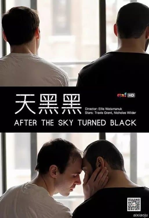 After the Sky Turned Black photo