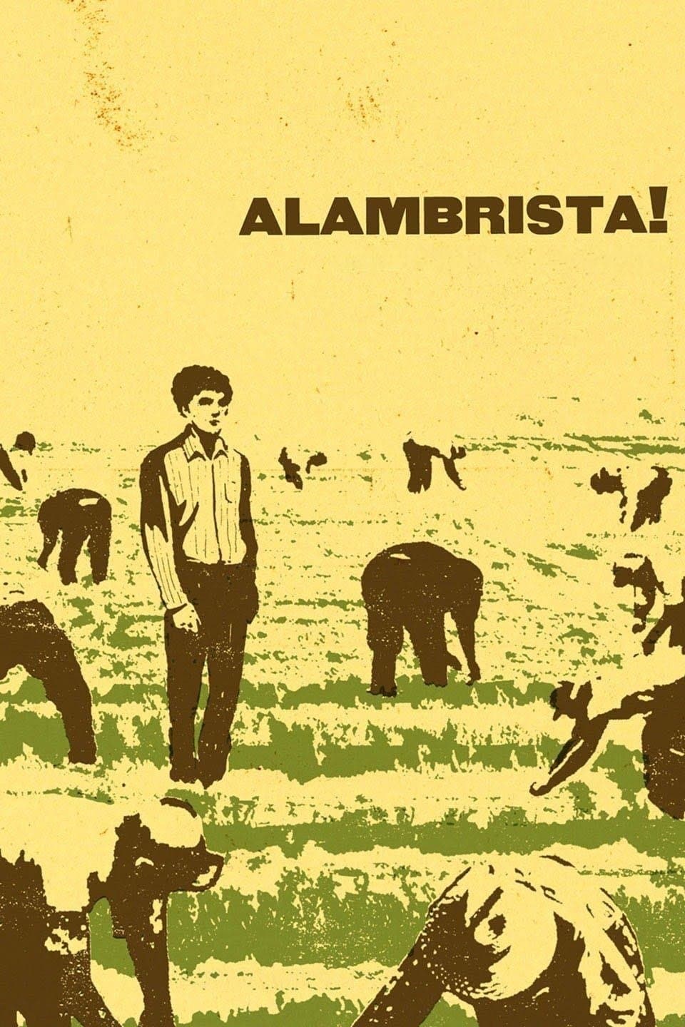 Alambrista! photo