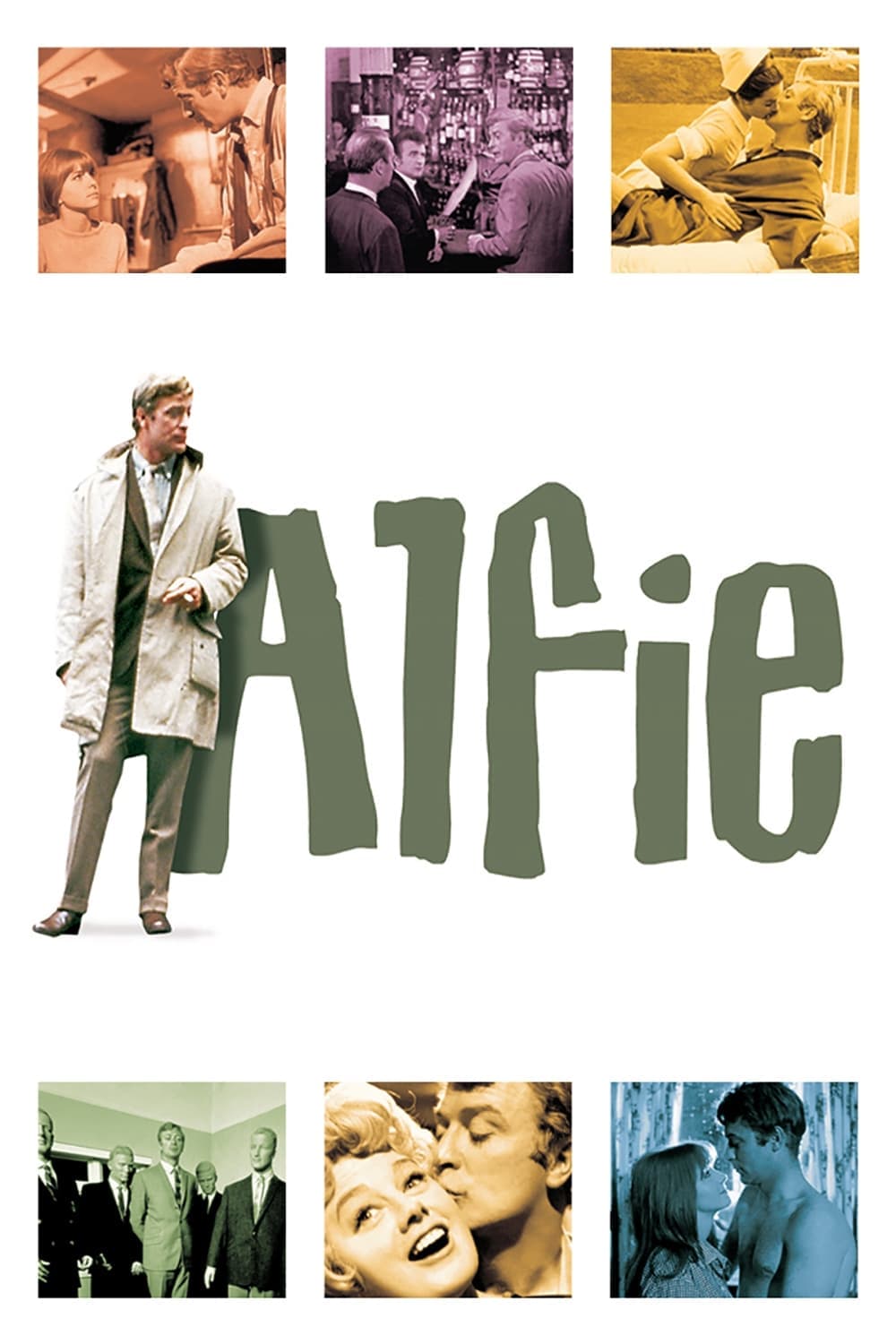 Alfie photo