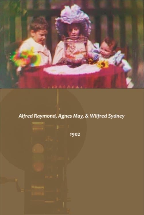 Alfred Raymond, Agnes May, & Wilfred Sydney photo