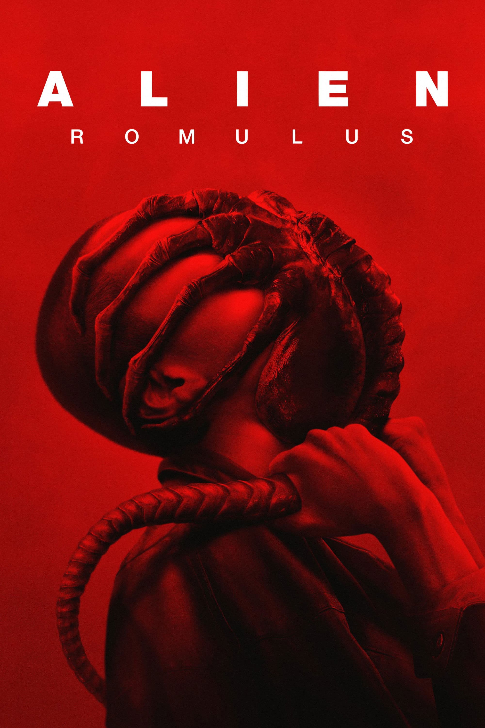 Alien: Romulus photo