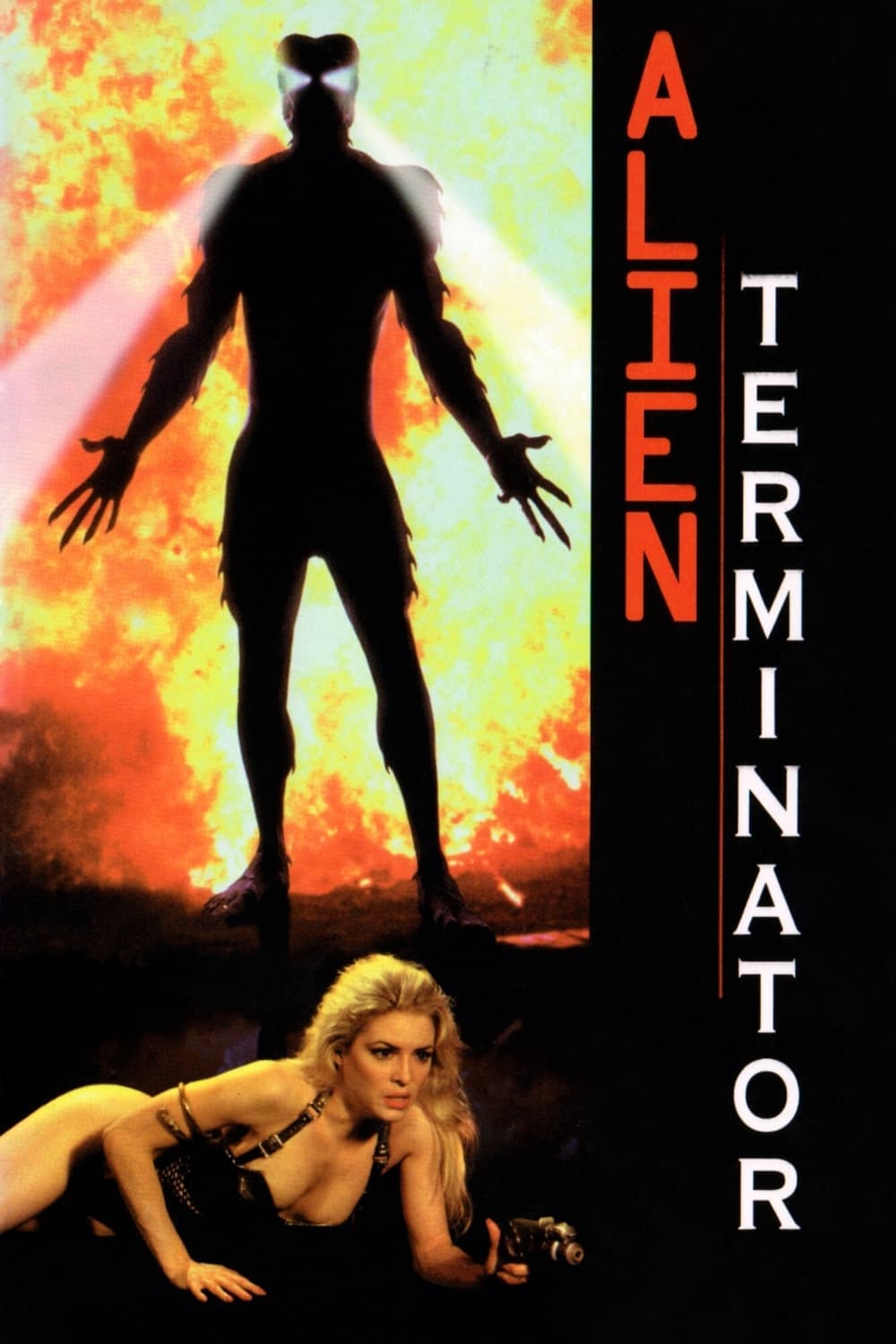 Alien Terminator photo