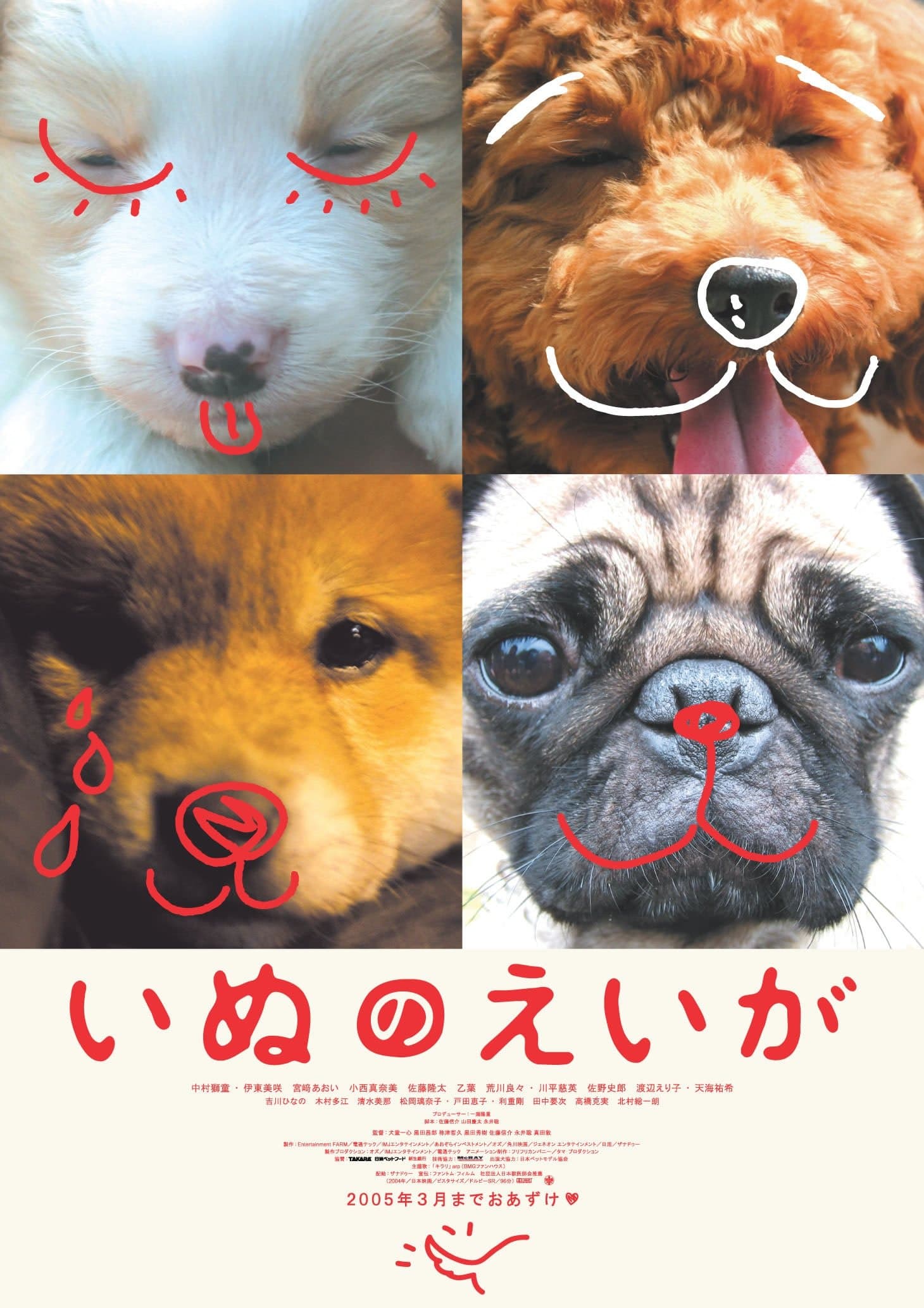 All About My Dog photo