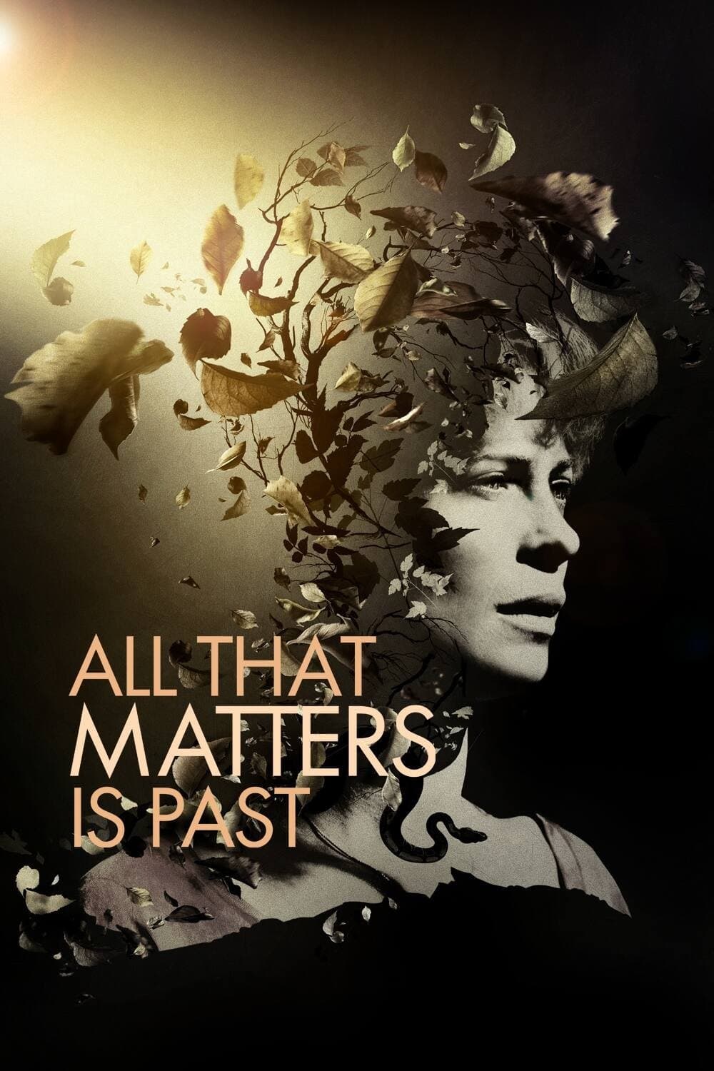 All That Matters Is Past photo