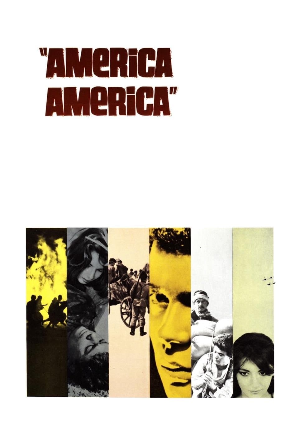 America America photo